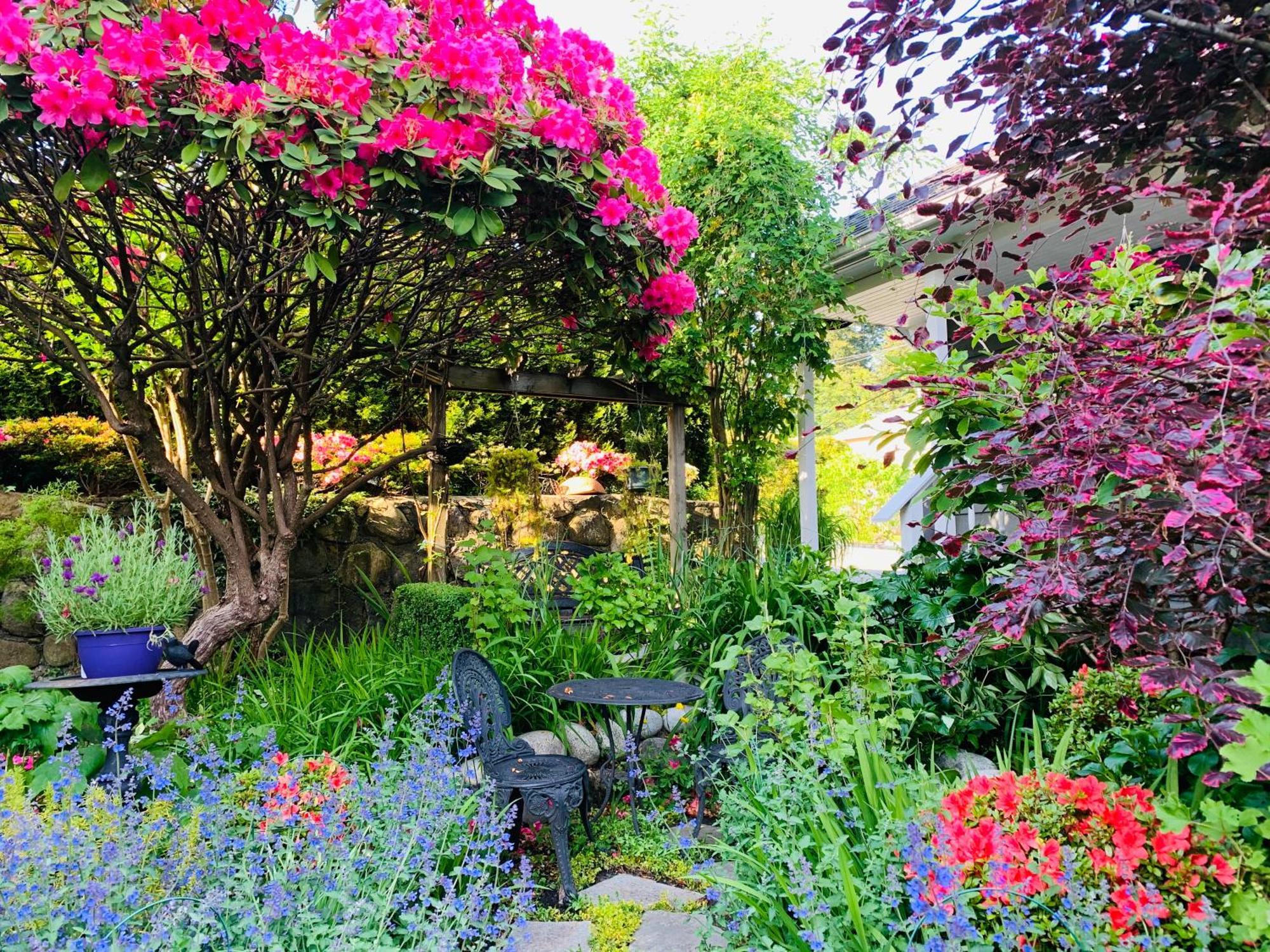 Crystal'S View Bed & Breakfast North Vancouver Eksteriør bilde